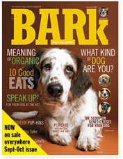 the Bark Magazine